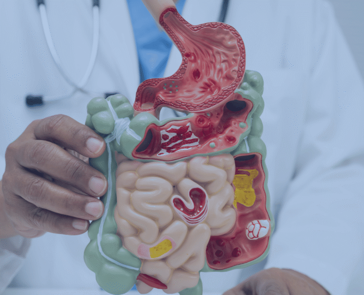Gastroenterology