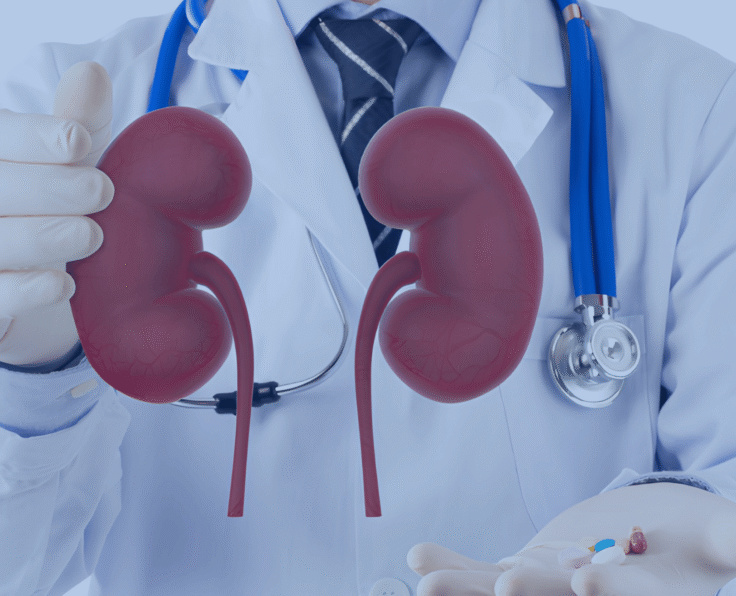 Nephrology